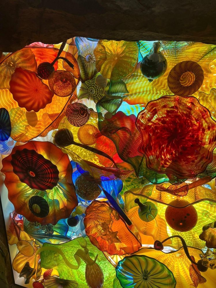  A vivid overhead display of multicolored blown glass forms, including spirals, shells, gourds, and abstract botanical shapes in bright reds, oranges, greens, blues, and yellows, layered to create a glowing, kaleidoscopic ceiling installation.